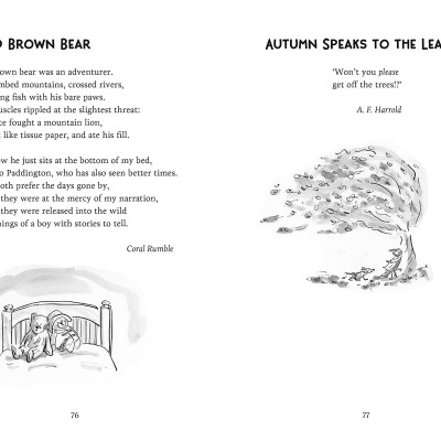 Poems For 7 Year Olds