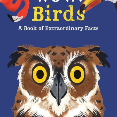 Wow! Birds