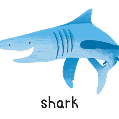 Lots To Spot Flashcards: Animals!