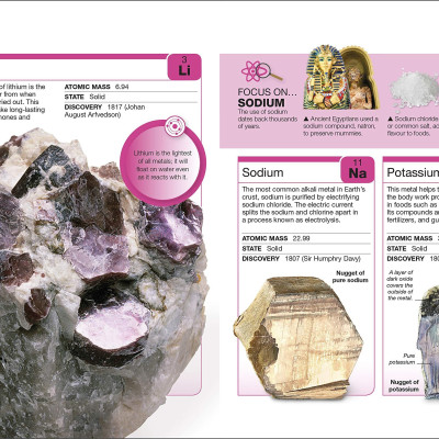 Periodic Table: Facts At Your Fingertips (Pocket Eyewitness)