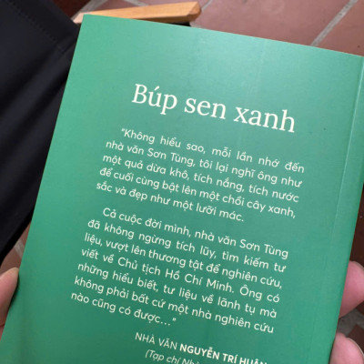 (Combo 2 cuốn) BÚP SEN XANH & BÔNG SEN VÀNG – Sơn Tùng – NXB Kim Đồng