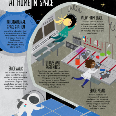 Facts: Essential Knowledge For Curious Kids