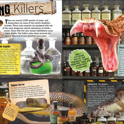 The Animal Book