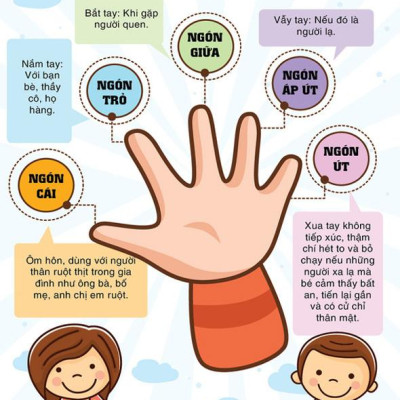 Combo Sách Ăn Dặm Kiểu Nhật + Ăn Dặm Không Phải Cuộc Chiến + Phương Pháp Ăn Dặm Bé Chỉ Huy + Ăn Dặm Không Nước Mắt + Sổ Tay Ăn Dặm Của Mẹ (Tặng kèm poster An Toàn Cho Con Yêu - Quy Tắc 5 Ngón Tay)