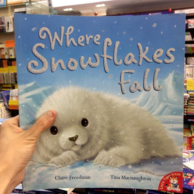 Where Snowflakes Fall