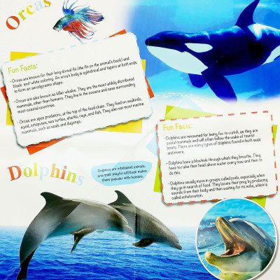 Wonder Of Learning - Discover Sea Animals Foldout Reference Book