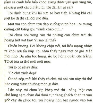 Con Chim Joong Bay Từ A Đến Z