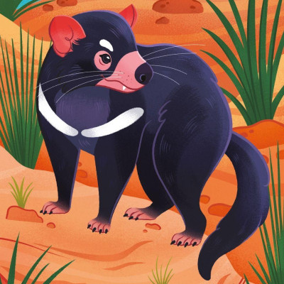 Australian Animals Snap