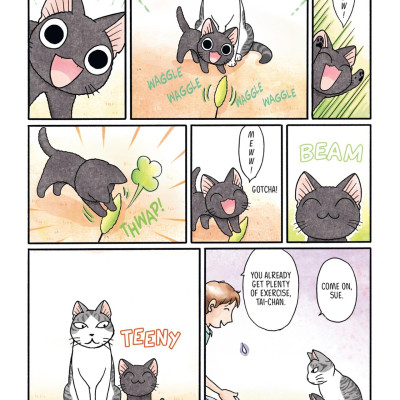 Sue & Tai-chan 2 (Graphic Novels)