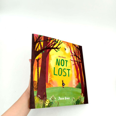 Mini Rabbit Not Lost (Mini Rabbit)