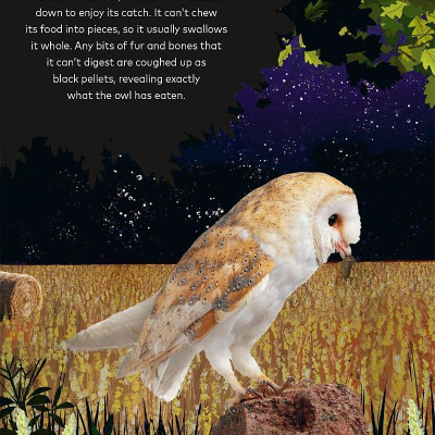 Through The Night Sky: A Collection Of Amazing Adventures Under The Stars