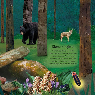 Through The Night Sky: A Collection Of Amazing Adventures Under The Stars