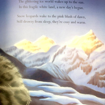 Where Snowflakes Fall