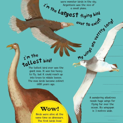 Wow! Look What Birds Can Do!