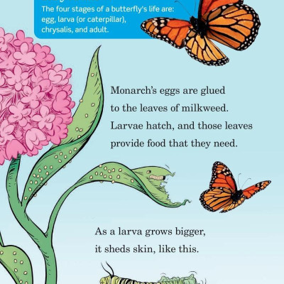 Hug A Bug: How YOU Can Help Protect Insects (Dr. Seuss