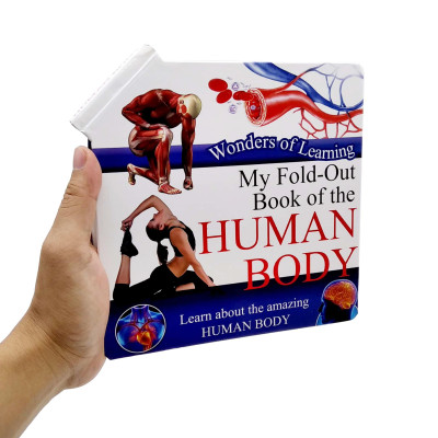 Wonder Of Learning - My Fold-Out Book Of The Human Body