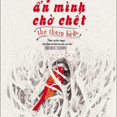 Những Con Chim Ẩn Mình Chờ Chết