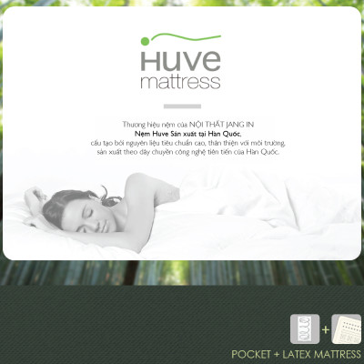 Nệm Bern 1.6m Jang In 1301700001-02