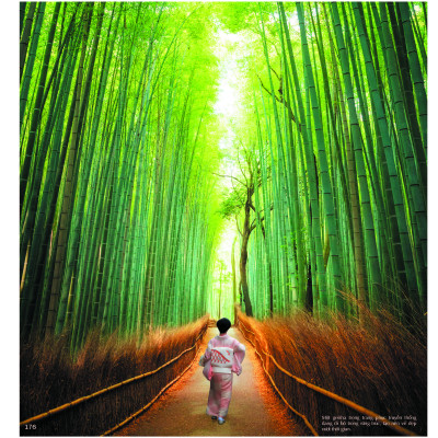 Các Địa Danh Đẹp Nhất Thế Giới (Bìa cứng - In màu)