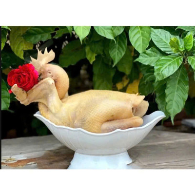 Bát thuyền đựng gà cúng nguyên con, đựng hoa quả nhựa trắng dày cao cấp