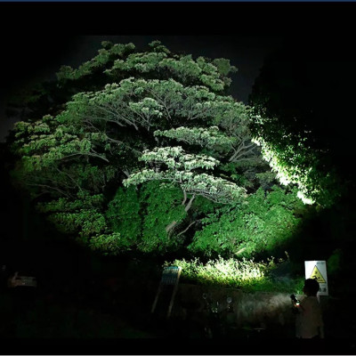 Đèn pin chống nước cao cấp cho thợ lặn TERINO T14 