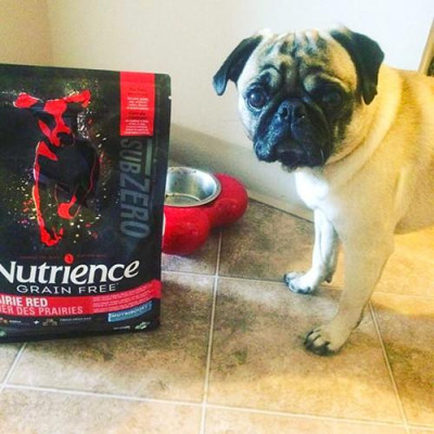 Thức Ăn Hạt Cho Chó Phốc Sóc - Nutrience Subzero Bao 2,27kg - 6 Loại Thịt (Bò, Cừu, Cá Hồi,...) Rau Củ, Trái Cây