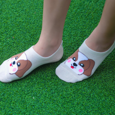 Tất vớ lười nữ hình thú Kikiya cao cấp Hàn Quốc W-N-011