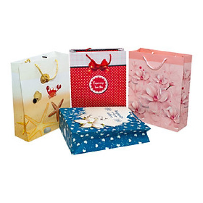 TÚI DÂY LỚN TT110 - 32 X26 X10 CM - NGẪU NHIÊN