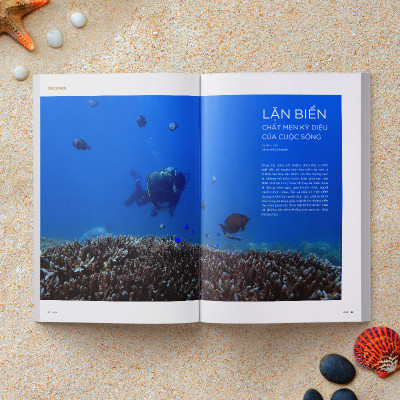 WOWWEEKEND ORIGINAL 03 - REFRESH 2020