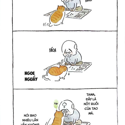 Thị Trấn Mèo Tập 1 (Tái Bản 2019)