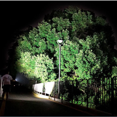 Đèn pin chống nước cao cấp cho thợ lặn TERINO T14 