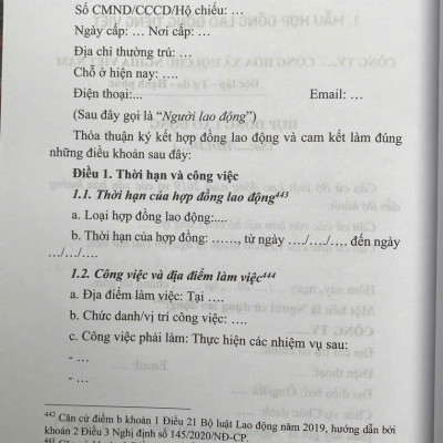 Hợp Đồng Trong Lĩnh Vực Lao Động 