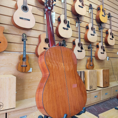 Đàn guitar Classic C#10CK