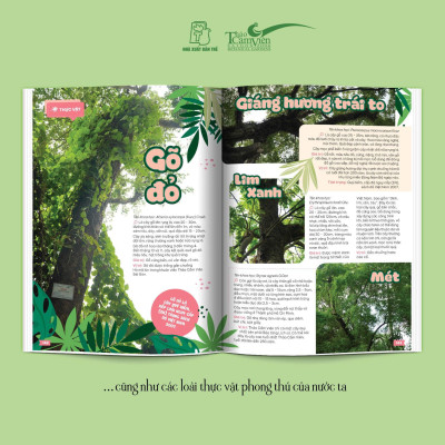 THẢO CẦM VIÊN SÀI GÒN - Kho Báu Trong Lòng Thành Phố (bìa mềm)