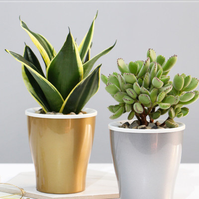 Chậu tự tưới W09 Monrovia, chất liệu nhựa PP, thiết kế tráng bạc sang trọng, màu sắc tinh tế