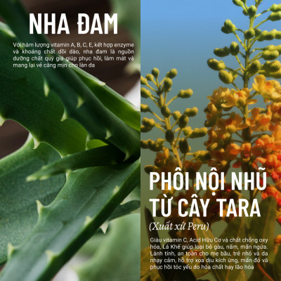 Xà Bông Rửa Mặt Thuần Chay Nha Đam Heebee
