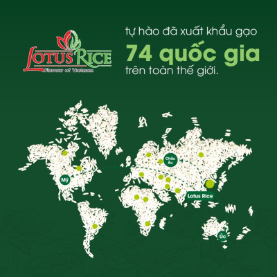 Gạo Thơm Lài Lotus Rice 5kg - Thơm ngon dẻo vừa