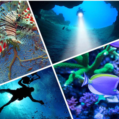 Đèn pin chống nước cao cấp cho thợ lặn TERINO T14 