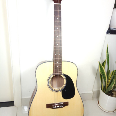 Đàn Guitar Acoustic Natural DD120