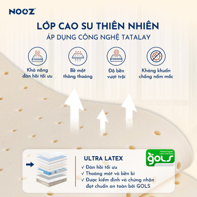 Nệm Foam NOOZ Signature Đệm Cao Su Thiên Nhiên Và Lò Xo Túi Nâng Đỡ 7 Vùng Cơ Thể NOOZ Home Goods
