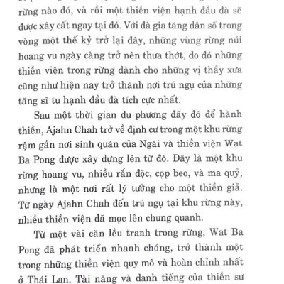 Tâm Tĩnh Lặng (Tái Bản 2024)