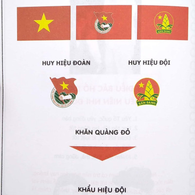 Sổ Tay Đội Viên (Tái Bản 2020)