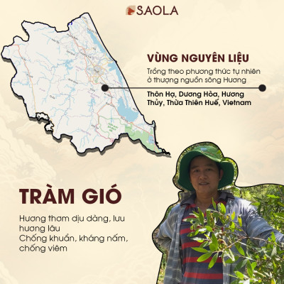 Cao tinh dầu Sao la (Saola Essential Oil Balm) 11g - Hỗ trợ giảm đau lưng, nhức mỏi, đau khớp, giúp ngủ ngon. Sản phẩm sản xuất từ các loại dược liệu thiên nhiên - Hàng Chính Hãng