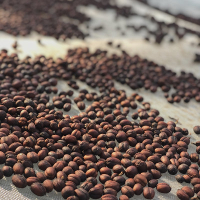 Arabica A Lưới chế biến ướt mùa vụ mới 2024-2025 Greenfields Coffee 250g