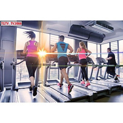 Tranh dán tường 3d trang trí phòng gym- ép kim sa - có sẵn keo GY16
