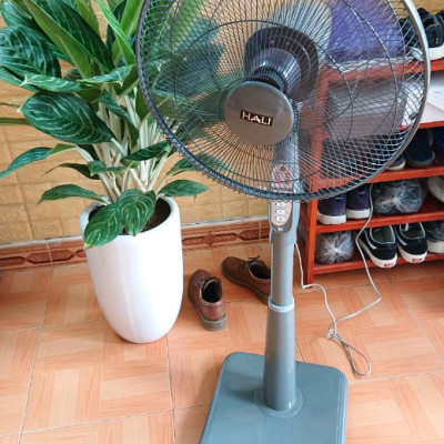 Quạt đứng Hali ST2-R có remote điều khiển từ xa - Màu ngẫu nhiên