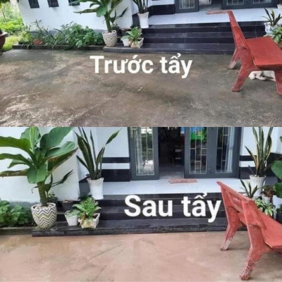 Bột Tẩy Rong Rêu Mạnh – Xử Lý Rong Rêu Lâu Năm, Tường Gạch, Sân Nền Trơn Trượt