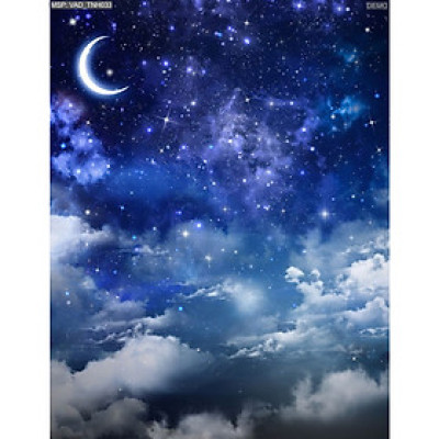 Tranh dán trần 3d bầu trời đêm TN72