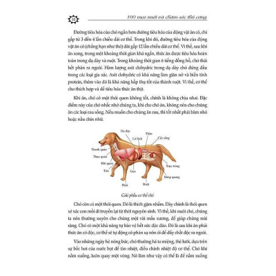 Sách - 100 Mẹo Nuôi Và Chăm Sóc Thú Cưng - Chu Truyền Lâm - VIETNAMBOOK