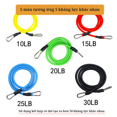 Bộ Dây Cao Su Đàn Hồi Ngũ Sắc Tập Gym Tại Nhà Móc To (Tặng kèm Kìm Bóp Cơ Tay) Bộ Dây Kháng Lực Tập Thể Hình Ngẫu Nhiên Dành Cho Mọi Đối Tượng Dễ Dàng Sử Dụng Có Hướng Dẫn Đi Kèm